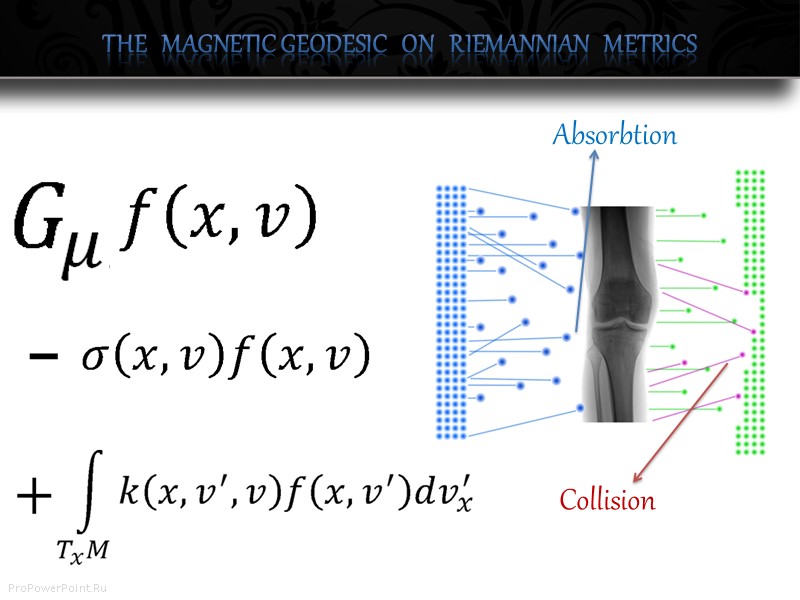 The   magnetic geodesic   on   Riemannian   metrics